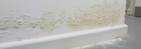 An image showing damp growing across a white wall