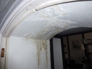 an image of damp on an arched ceiling