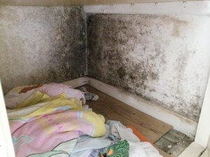 An image showing a wall suffering from mould due to condensation in a boiler room