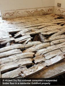 An image showing an aggressive dry rot outbreak that has consumed suspended timber flooring in a Guildford property