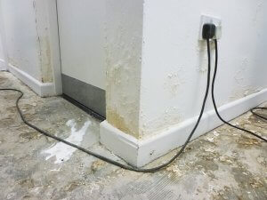 An image showing a white wall with white rot and mould spreading across the base of it