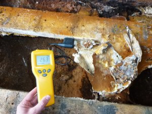 An image showing damp timbers susceptible to fungal decay