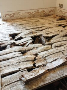 An image showing dry rot outbreak destroying suspended timber floor in a residential dwelling